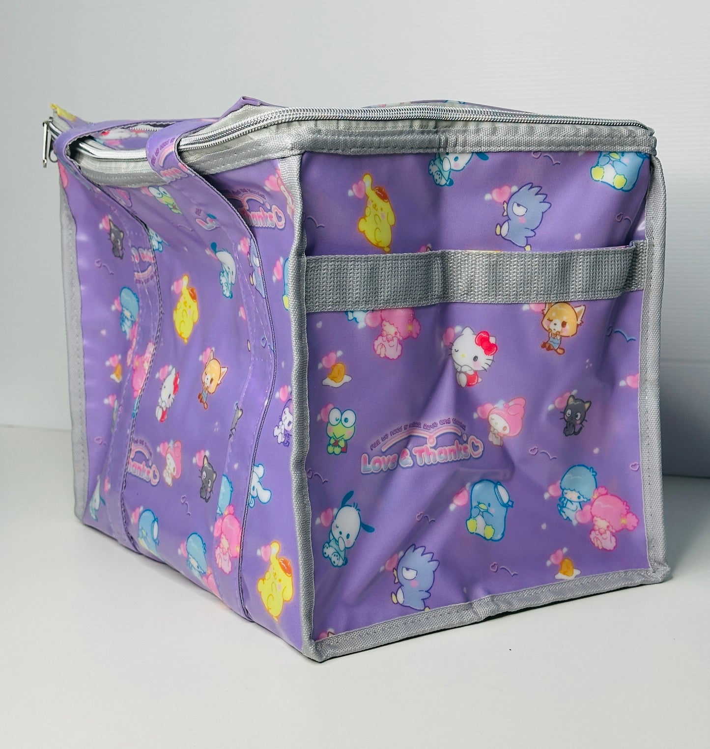 Coated polyester bag