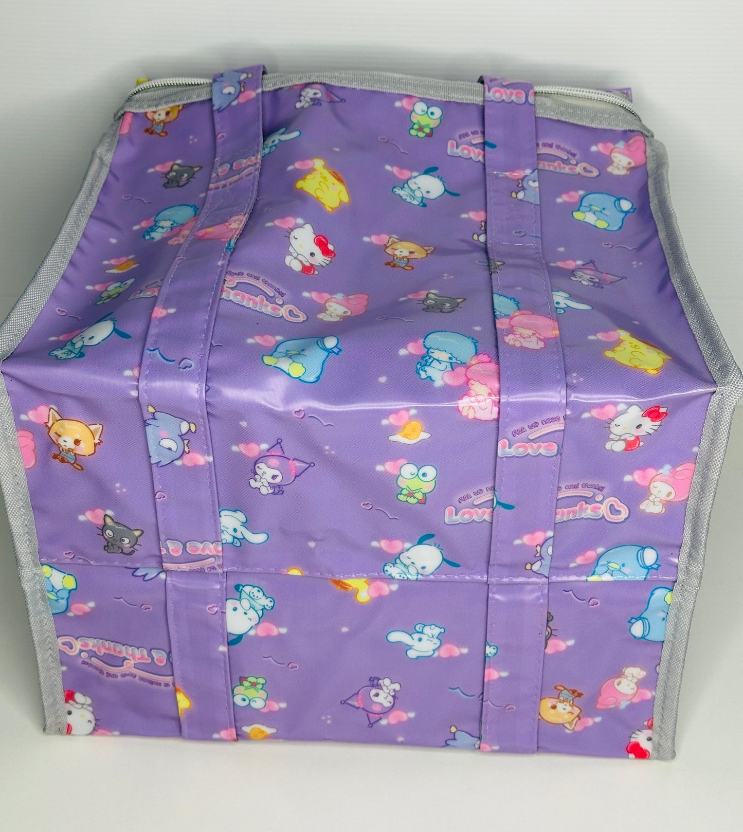Coated polyester bag