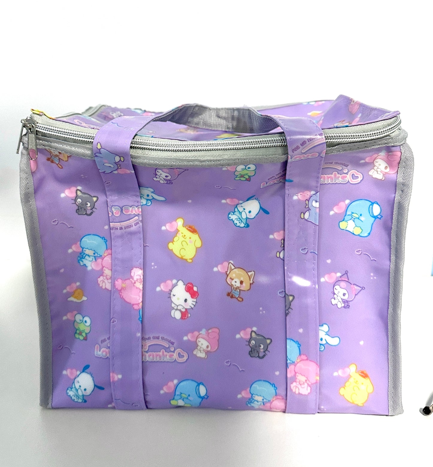 Coated polyester bag